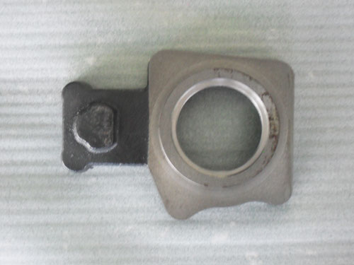 ����_�x�������w